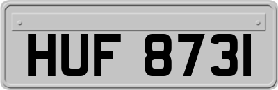 HUF8731