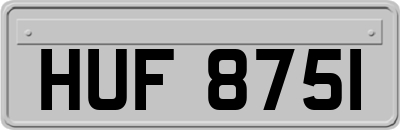 HUF8751