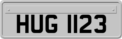 HUG1123