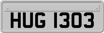 HUG1303