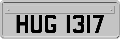 HUG1317