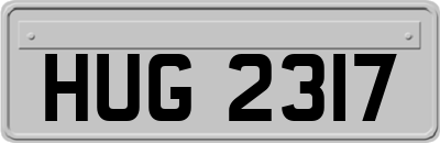 HUG2317