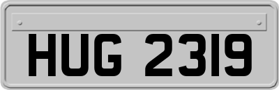 HUG2319