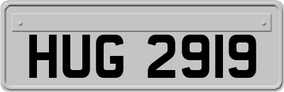 HUG2919