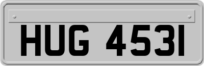 HUG4531