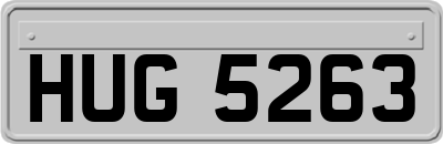 HUG5263