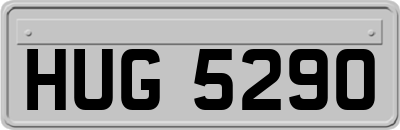 HUG5290