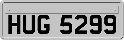 HUG5299