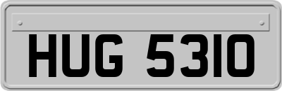 HUG5310