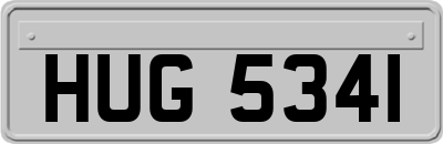 HUG5341