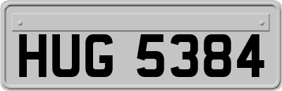 HUG5384