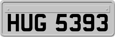 HUG5393