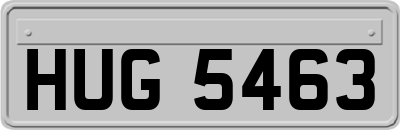 HUG5463