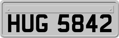 HUG5842