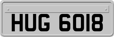 HUG6018