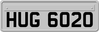 HUG6020