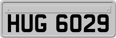 HUG6029