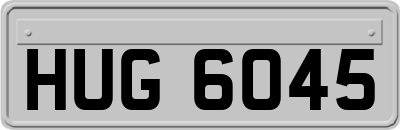 HUG6045