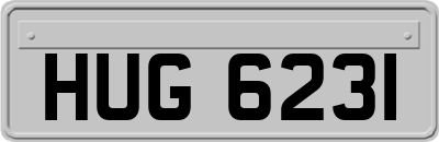 HUG6231