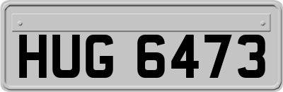 HUG6473