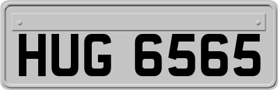 HUG6565