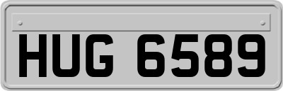 HUG6589