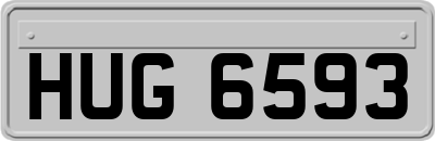 HUG6593