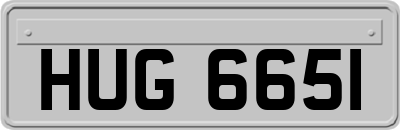 HUG6651