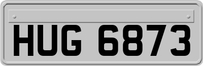 HUG6873