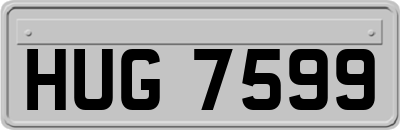 HUG7599