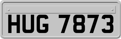 HUG7873