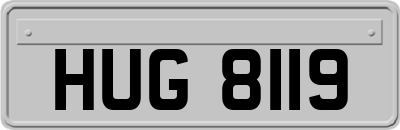 HUG8119