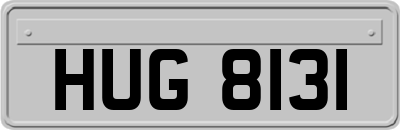 HUG8131