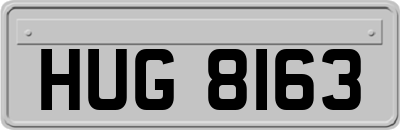 HUG8163