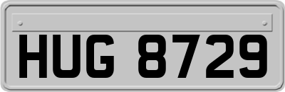 HUG8729