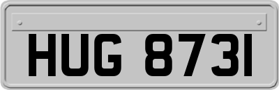 HUG8731