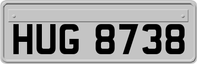 HUG8738