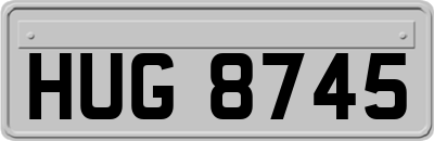 HUG8745