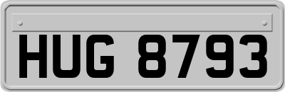 HUG8793