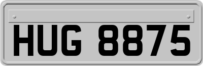 HUG8875