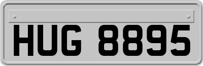 HUG8895