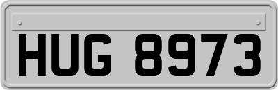 HUG8973