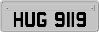 HUG9119