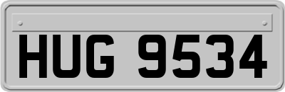 HUG9534