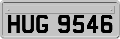 HUG9546