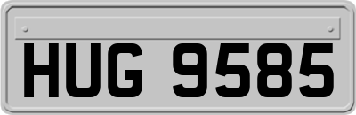 HUG9585