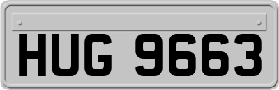 HUG9663