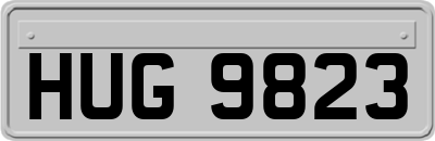 HUG9823