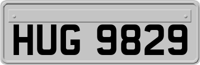 HUG9829