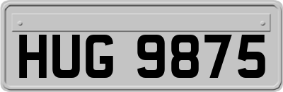 HUG9875